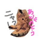 小鉄とトラとさくら（個別スタンプ：5）