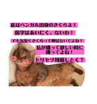 小鉄とトラとさくら（個別スタンプ：12）