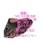 小鉄とトラとさくら（個別スタンプ：15）