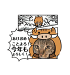 小鉄とトラとさくら（個別スタンプ：18）
