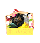 ダックスフンドかわいいスタンプ（個別スタンプ：7）