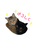グリ＆おこげ 日常使えるスタンプ（個別スタンプ：2）