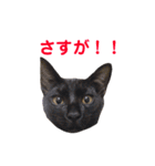 グリ＆おこげ 日常使えるスタンプ（個別スタンプ：26）