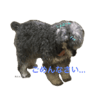 おとんとはる（個別スタンプ：4）