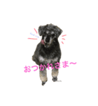 おとんとはる（個別スタンプ：5）