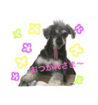 おとんとはる（個別スタンプ：6）