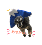 おとんとはる（個別スタンプ：7）