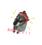 おとんとはる（個別スタンプ：12）
