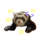 おとんとはる（個別スタンプ：14）