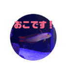 AYUMIRIUM1（個別スタンプ：5）