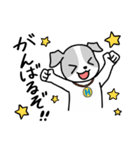 水素わん（個別スタンプ：15）