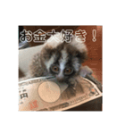 ノロマな道化師の愉快な日々（個別スタンプ：1）