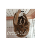 ノロマな道化師の愉快な日々（個別スタンプ：8）