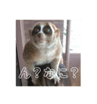 ノロマな道化師の愉快な日々（個別スタンプ：9）