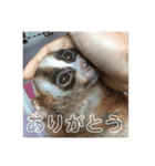 ノロマな道化師の愉快な日々（個別スタンプ：12）