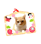 マロン お正月（個別スタンプ：3）