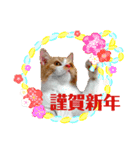 マロン お正月（個別スタンプ：4）