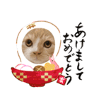 マロン お正月（個別スタンプ：9）