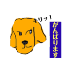 ゴールデンのニコの日常＆やさしい敬語1（個別スタンプ：35）
