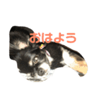 RinRanSabubu（個別スタンプ：14）