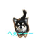 RinRanSabubu（個別スタンプ：17）