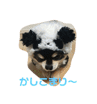 RinRanSabubu（個別スタンプ：26）