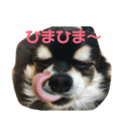 RinRanSabubu（個別スタンプ：30）