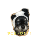 RinRanSabubu（個別スタンプ：34）
