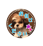 シーズー・エメちゃん①（個別スタンプ：10）