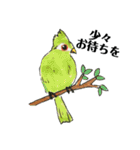 kikiの小鳥スタンプ•イラスト編（個別スタンプ：37）