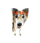 チワワのココさんとミックス犬あずき（個別スタンプ：8）