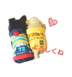 チワワのチョコマロ（個別スタンプ：8）
