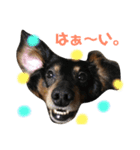 けん卵。（個別スタンプ：3）