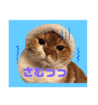 ぽんた こと 癒し家P師匠（個別スタンプ：2）