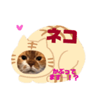 ぽんた こと 癒し家P師匠（個別スタンプ：3）