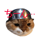 ぽんた こと 癒し家P師匠（個別スタンプ：18）