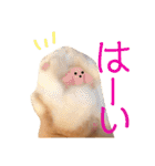 ぽんた こと 癒し家P師匠（個別スタンプ：19）