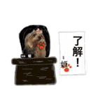 ポメキーな姫ちゃんその2（個別スタンプ：12）