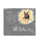 ポメキーな姫ちゃんその2（個別スタンプ：16）