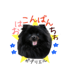 がっちゃんスタンプ第2弾（個別スタンプ：2）
