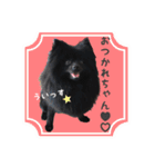 がっちゃんスタンプ第2弾（個別スタンプ：18）