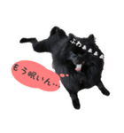 がっちゃんスタンプ第2弾（個別スタンプ：20）