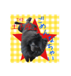 がっちゃんスタンプ第2弾（個別スタンプ：23）