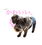 れおのスタンプ（野尻家）（個別スタンプ：17）