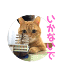 てっちゃんすたんぷ②（個別スタンプ：3）