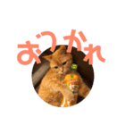 てっちゃんすたんぷ②（個別スタンプ：9）