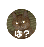 てっちゃんすたんぷ②（個別スタンプ：16）