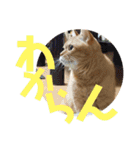 てっちゃんすたんぷ②（個別スタンプ：19）