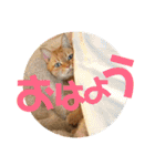 てっちゃんすたんぷ②（個別スタンプ：20）