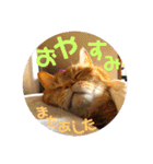 てっちゃんすたんぷ②（個別スタンプ：23）
